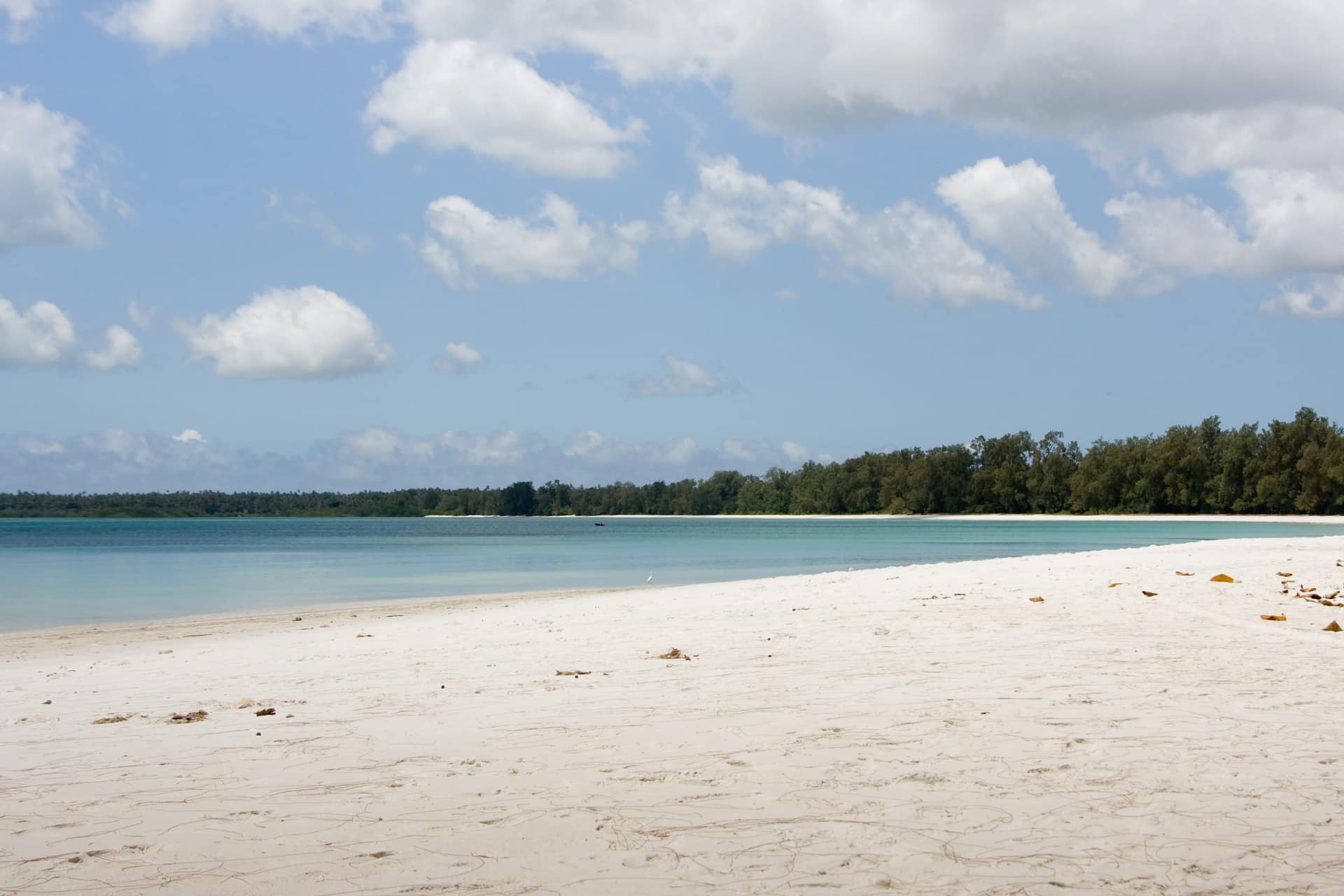 White sand and clear water at Vumawimbi Beach on Pemba Island