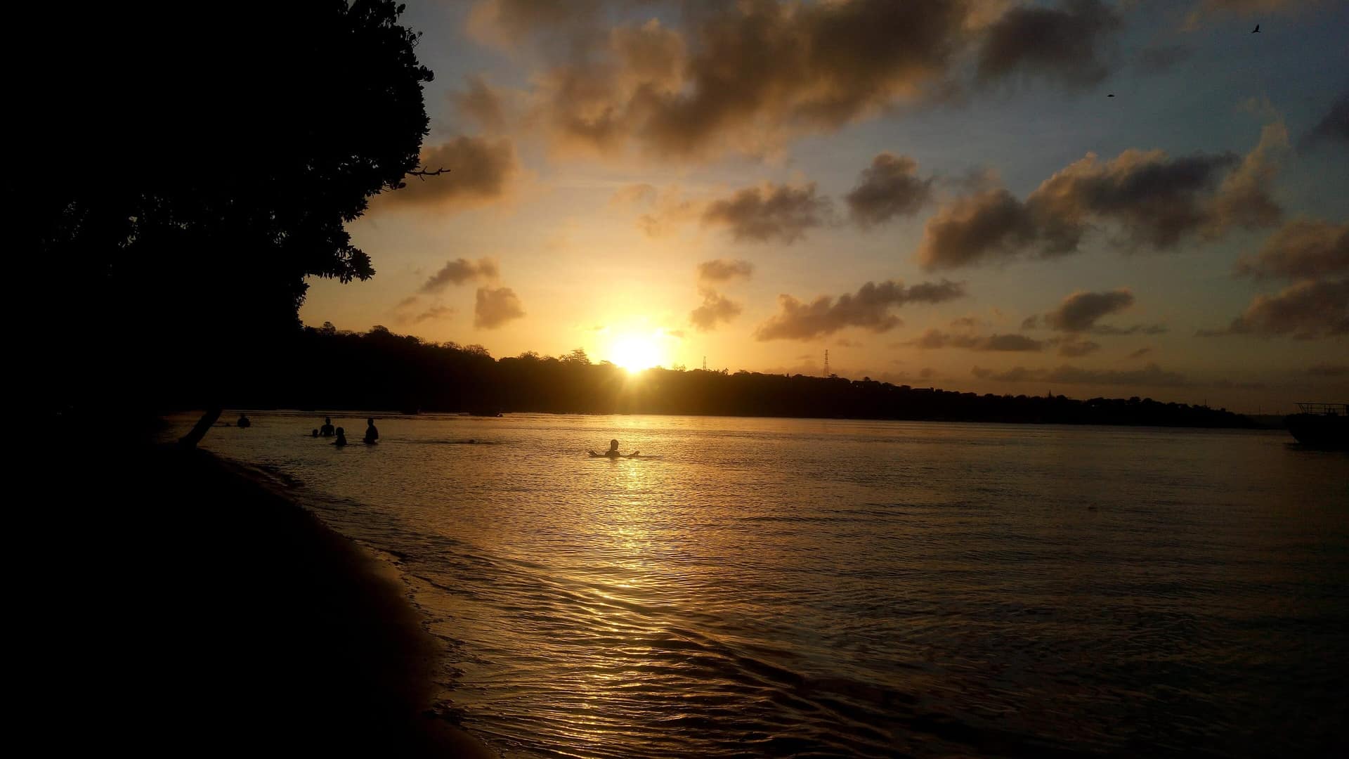 Sunset over calm water beside a mangrove-lined shore