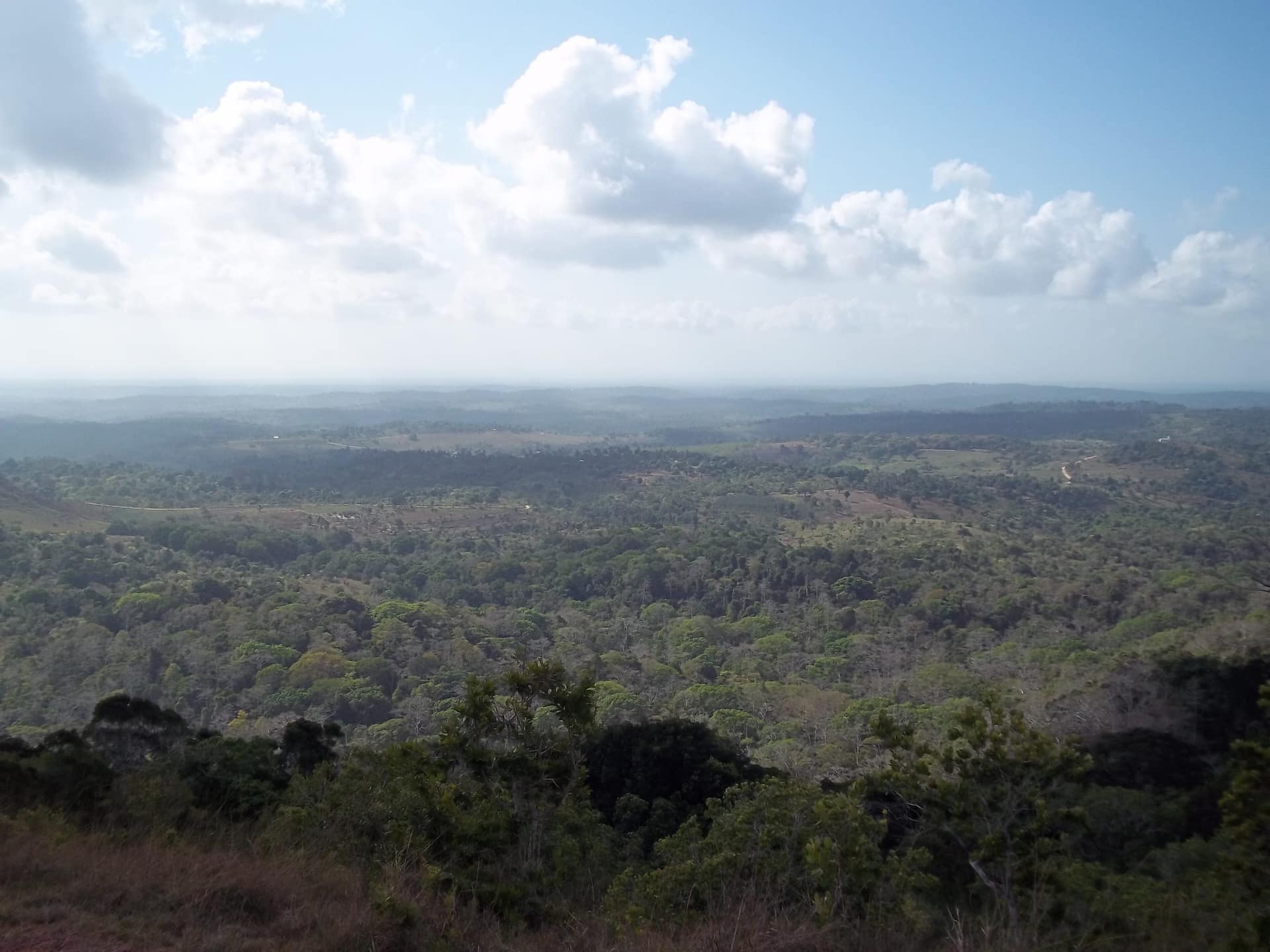Rolling forest and grassland in Shimba Hills National Reserve