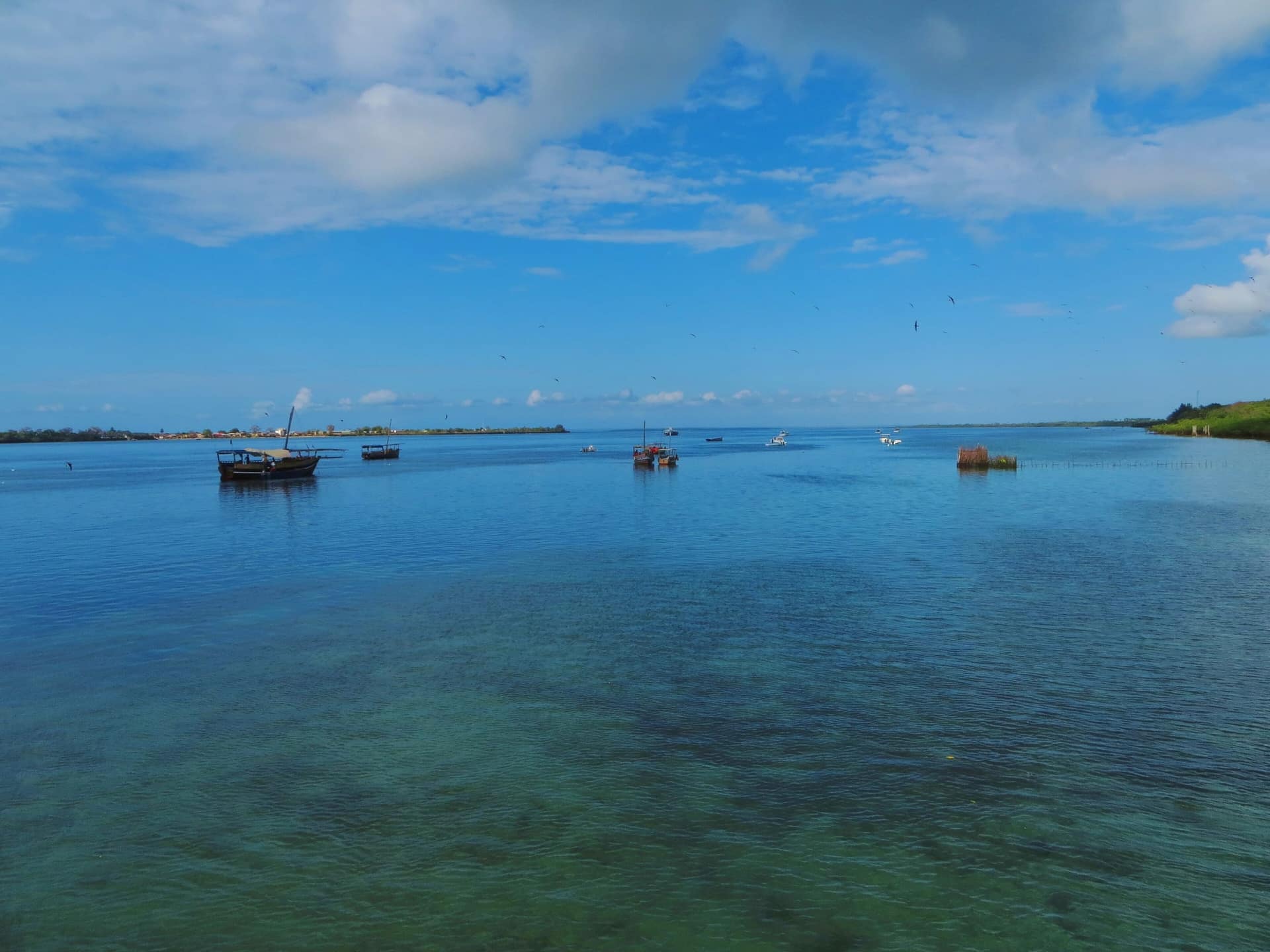 Fishermen’s traditional boats on calm, clear water near Shimoni