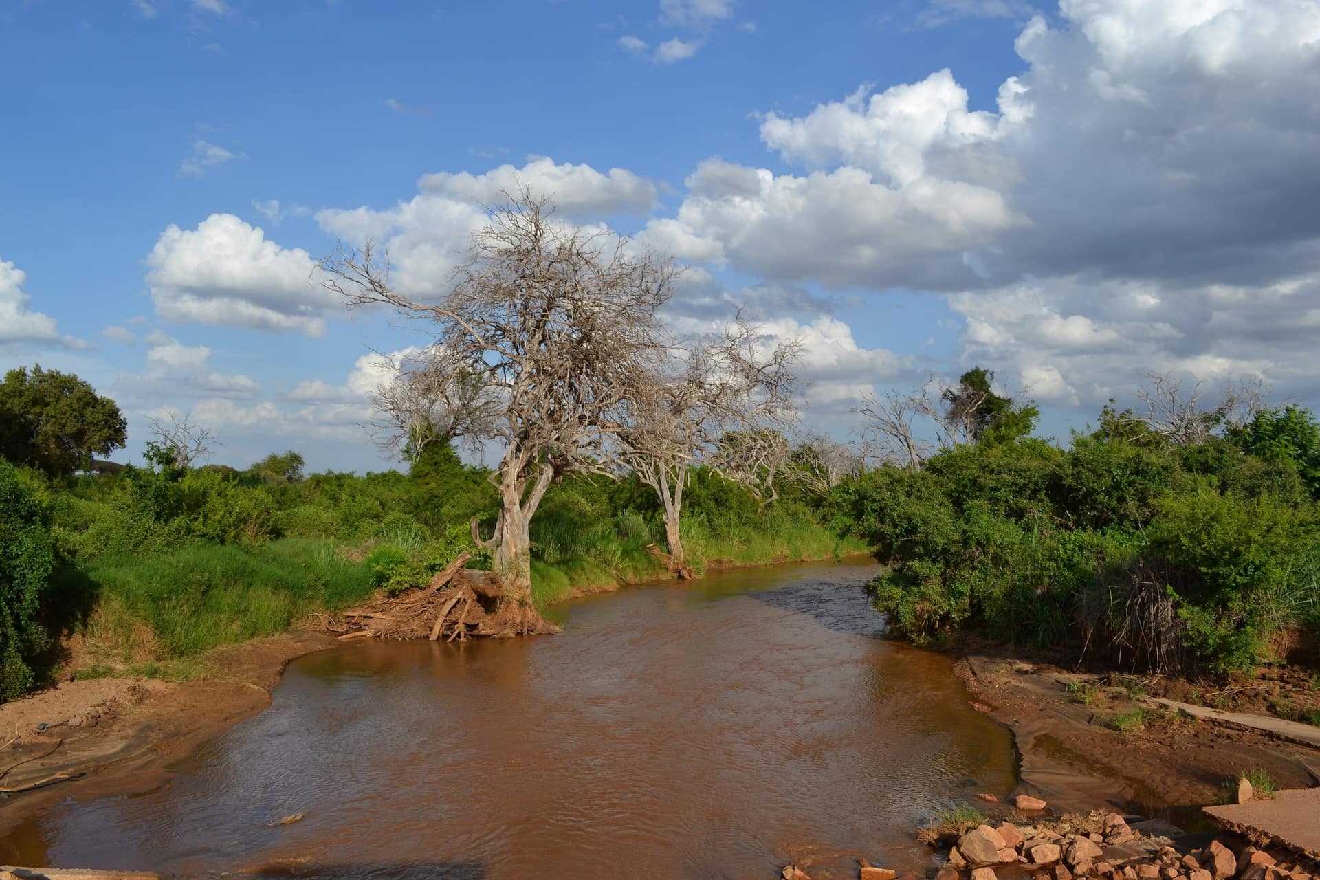 The Voi River near the Aruba Dam in Tsavo East National Park
