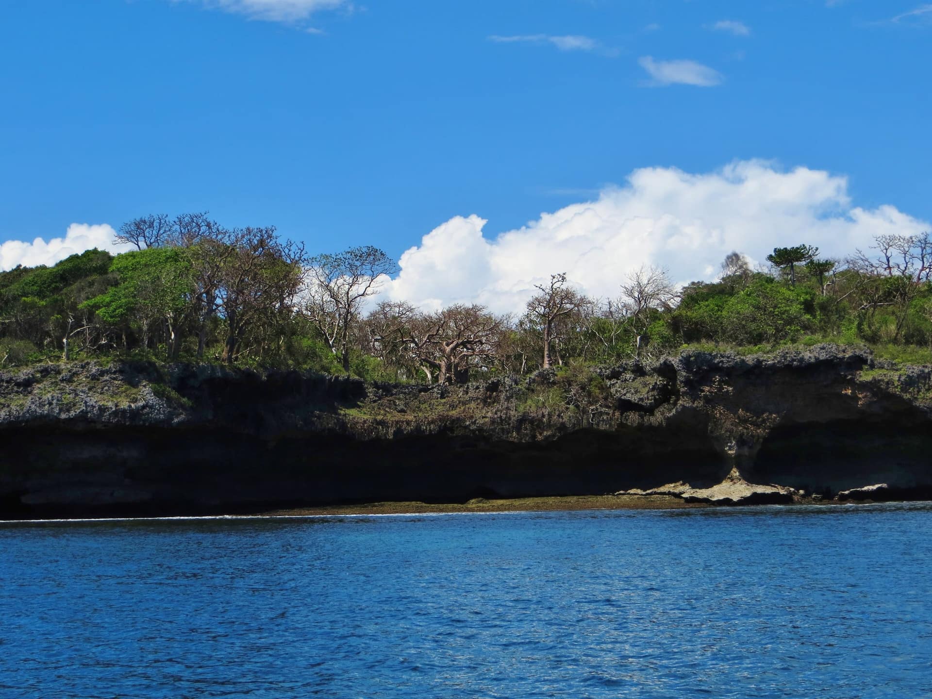 The coral-rag coastline of Wasini Island seen from the water